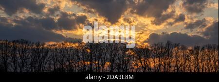 Panoramic landscape at sunset and cloudy sky and forest with trees without leaves. Stock Photo