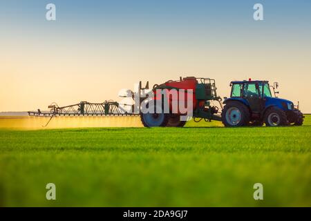 Farmer in tractor fertilizing wheat field,hdr nature landscape. Stock Photo