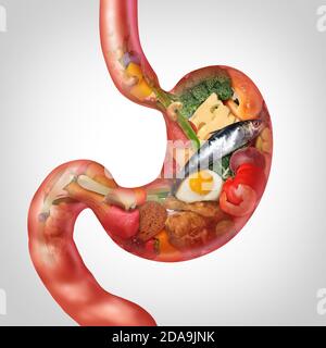 Food digestion and  digesting nutrition as ingredients shaped as a stomach representing gastrointestinal health or digestive problems.