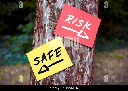 Risk versus safe words written on papers on a tree with arrow signs. Taking the risky way or secure path in decision making concept. Stock Photo