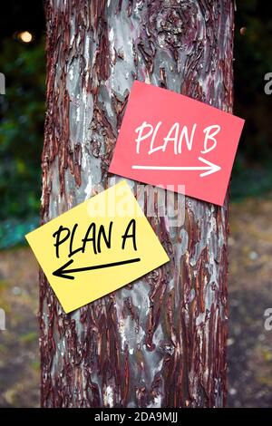 Plan A versus Plan B words written on papers on a tree with arrow signs. Choosing a strategic plan in business of life concept. Stock Photo