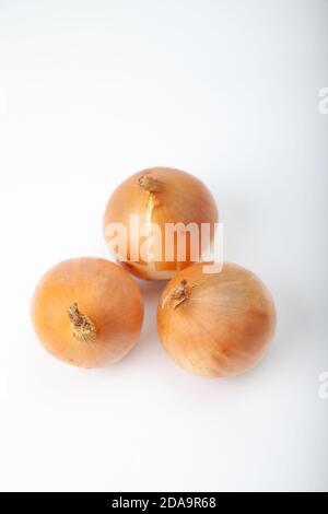 Three white raw onions on a white background. Stock Photo