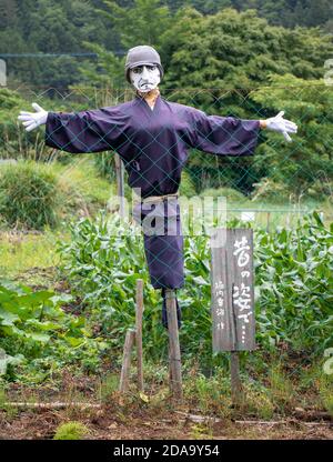 A figurine in the field looking over fence to camera. Scarecrow with white facial mask stand in garden, Japan. Stock Photo