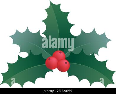 Illustration isolated on white background of various Christmas holly leaves with red berries. Stock Vector