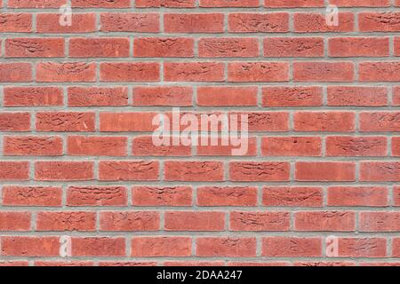 Red brick wall front view. background replacement Stock Photo