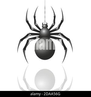 Spider on a web on a white background Stock Vector