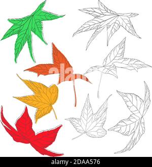 Set of autumn colorful and outline leaves. Green, orange, yellow and red leaves. Stock Vector