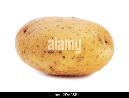 Potato on a White Background Stock Photo
