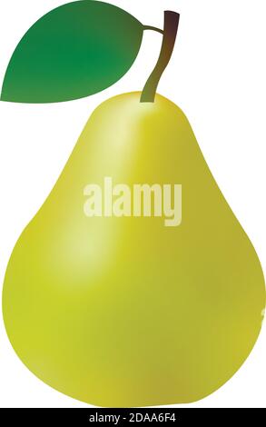 3d realistic green pear isolated on white background. Vector illustration Stock Vector