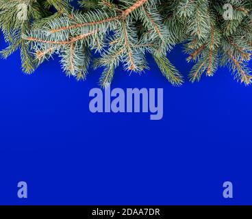 blue christmas background with with high border decorated with fir branches Stock Photo