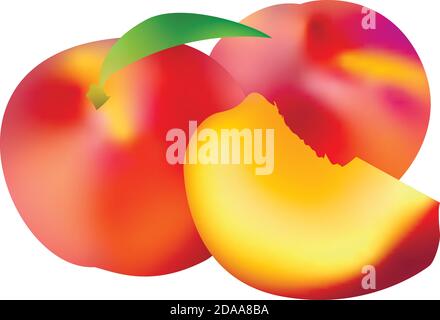 Realistic Ripe peaches, whole and slice. Juicy sweet fruit realistic 3d vector high detail isolated on white background. Ripe peaches, whole and slice Stock Vector