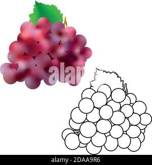 Isolated dark grape with green leaf in 3d and line illustration on white background. Stock Vector
