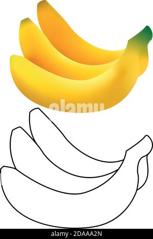 3d and line vector realistic illustration of bunch of bananas. Banana isolated on white background, banana icon. Stock Vector