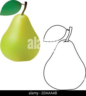 3d and line realistic green pear isolated on white background. Vector illustration Stock Vector