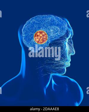 Neurology, philosophy: connections, the development of thought and reflection, the infinite possibilities of the brain and mind. Human anatomy. Stock Photo