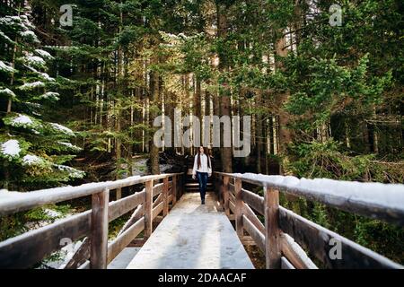 woman walk in winter forest Stock Photo