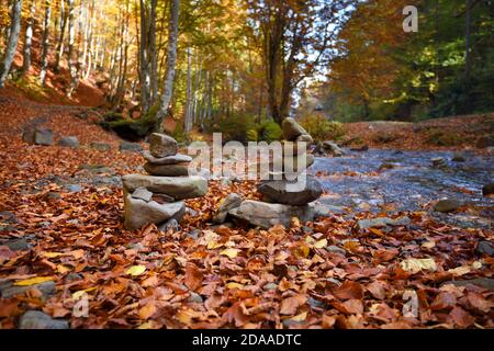 Balanced stones in the autumn forest. Zen stones on autumn leaves. Stock Photo