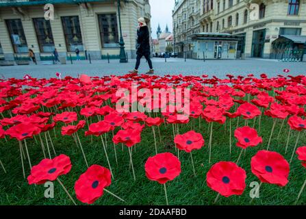 Prague, Czech Republic. 11th Nov, 2020. A field of poppies mark celebration of War Veterans Day in Prague, Czech Republic, November 11, 2020. Credit: Katerina Sulova/CTK Photo/Alamy Live News Stock Photo