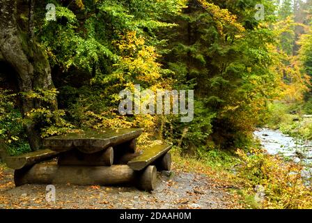 Autumn in mountain Carpathian forest. Ukraine Stock Photo