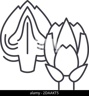 Artichoke concept icon, linear isolated illustration, thin line vector, web design sign, outline concept symbol with editable stroke on white Stock Vector