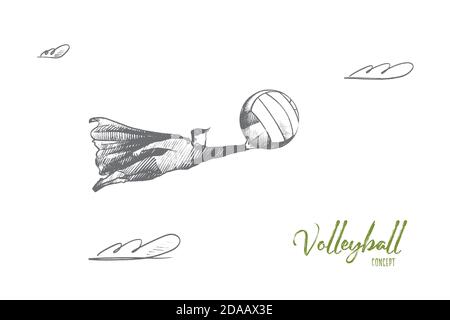 Volleyball concept. Hand drawn isolated vector. Stock Vector
