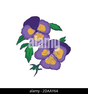 Pansy. spring flowers. Bright flowers and leaves. Collection. Flower elements Vector illustration Stock Vector