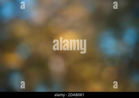 Autumn bokeh background. Blurred background of autumn forest with nice bokeh. Stock Photo