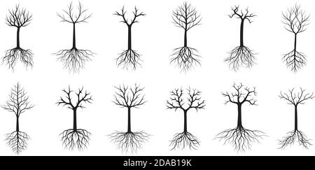 Black Trees with Roots and Leaves. Vector Illustration. Collection of icons. Stock Vector