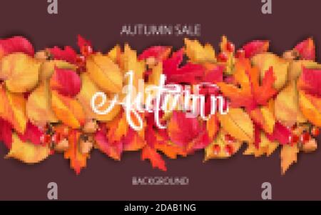 Abstract background with leaves, acorns and berries. Autumnal sale. Vector Stock Vector