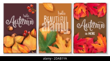 Set of three cards with leaves, acorns and berries. Autumnal thematics. Beautiful season. Vector Stock Vector