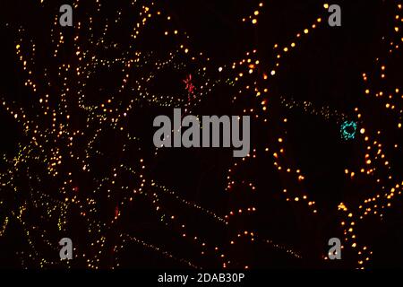 Christmas lights background . New Year garlands on the night street Stock Photo