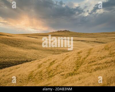 Golden pasture or grassland at sunset or sunrise in the Carpathian Mountains, Romania. Stock Photo