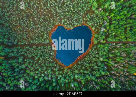 top view of a forest with a heart-shaped lake 5540321 Stock Photo