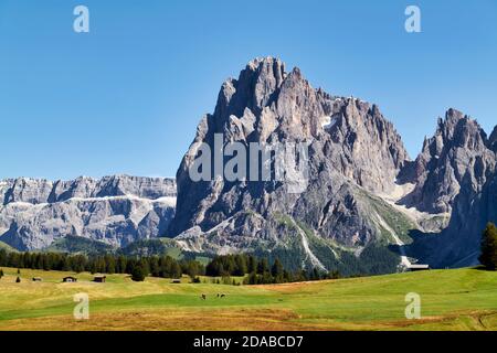 Seiser Alm - Alpe di Siusi - Val Gardena South Tyrol Italy Panorama view with the Sassolungo mountain peak Stock Photo