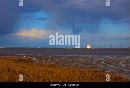 Lower Saxony Wadden Sea National Park, Germany, in autumn. Stock Photo