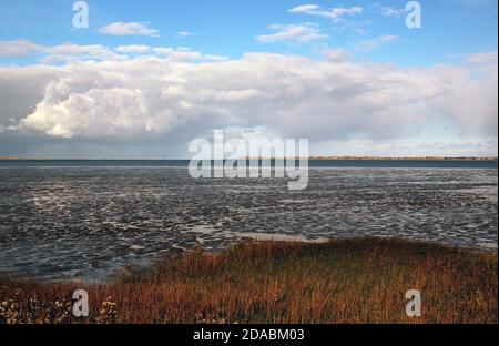 Lower Saxony Wadden Sea National Park, Germany, in autumn. Stock Photo