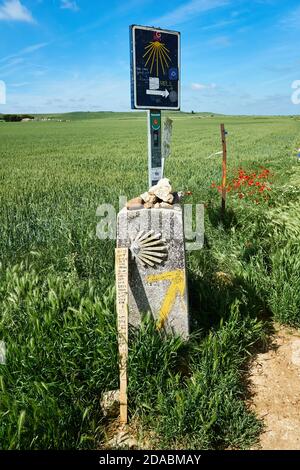 Milestone on the way. French Way, Way of St. James. Near Hontanas, Burgos, Castile and Leon, Spain, Europe Stock Photo