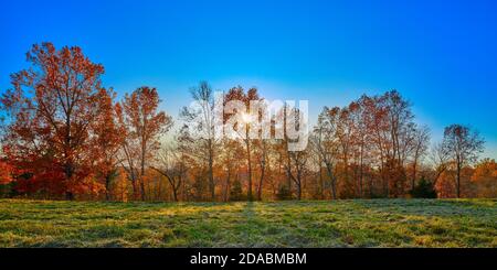Setting sun behind Fall colored trees with blue sky. Stock Photo