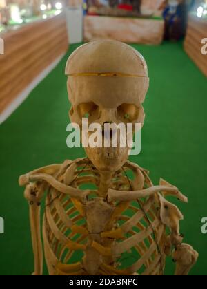 exhibition-hall-about-human-biology-and-medicine-at-the-science-museum
