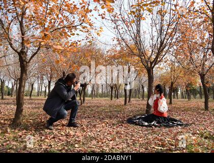 (201111) -- HEZE, Nov. 11, 2020 (Xinhua) -- Sun Yan, an online clothes store owner, poses for photos to promote the costume she designed in the style of the traditional clothing of the Han ethnic group that is generally called Hanfu in Sunzhuang Village in Caoxian County of Heze City, east China's Shandong Province, Nov. 10, 2020. Sunzhuang Village thrives on e-commerce business. Among some 760 households in the village, more than 560 run online clothes stores on Taobao.com, Alibaba's main e-commerce site. The village's sales volume of costumes exceeded 200 million yuan (about 30.22 million U. Stock Photo