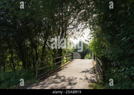 Sun lit concrete bridge over canal at dusk in summer time beautiful shadows on pavement floor, trees creating tree tunnel Stock Photo