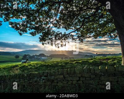 Early morning sunrise over the farmers fields with the  famous Lancashire landmark of Rivington Pike on the skyline. Stock Photo