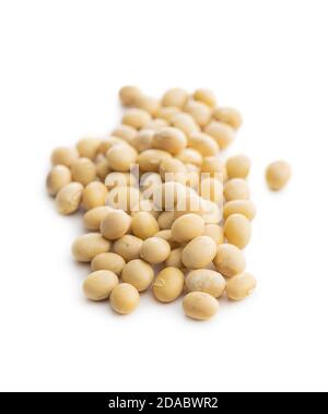 Dried soy beans isolated on white background. Stock Photo