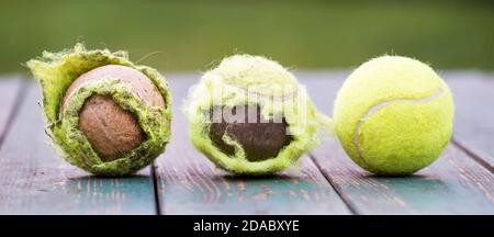 Chewed old used dirty and new tennis balls on wooden background. Web banner. Stock Photo