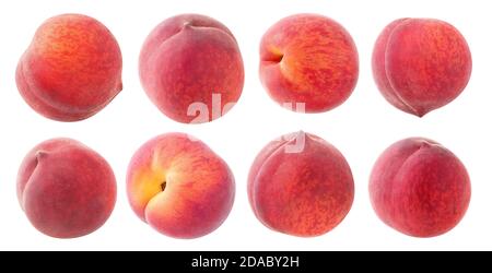 Isolated peaches. Collection of fresh peach fruits isolated on white background at different angles Stock Photo