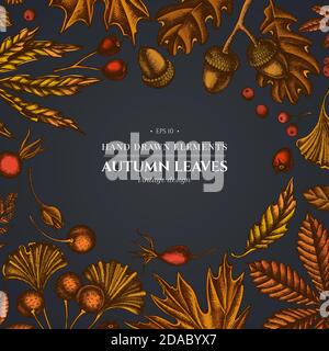 Design on dark background with fern, dog rose, rowan, ginkgo, maple, oak, horse chestnut, chestnut, hawthorn Stock Vector