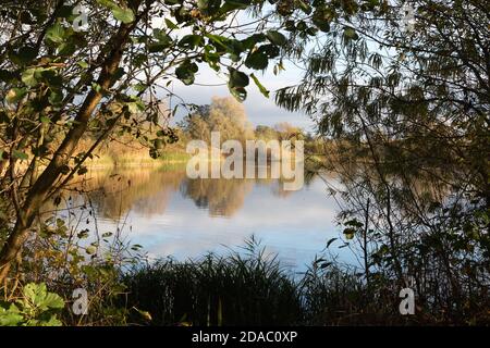 Lackford Lakes Suffolk - the lakes in autumn, english countryside, East Anglia UK Stock Photo