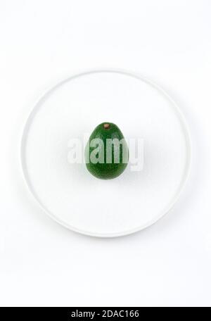 One uncut avocado on a light background. Stock Photo