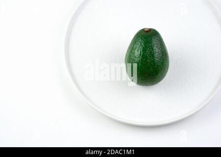 Fruit minimalistic background with avocado on a light background. Stock Photo
