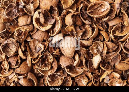 Walnut shells as a background. Texture of empty broken walnut shells. Biodegradable food waste and peelings. Nut crop concept. Full frame. Top view. Stock Photo